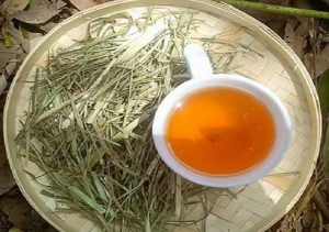 Cách nấu nước cỏ mần trầu tươi & khô giữ trọn dược tính tại nhà