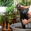 Cách gội đầu bằng cỏ mần trầu giúp tóc đen mượt, nhanh dài tại nhà