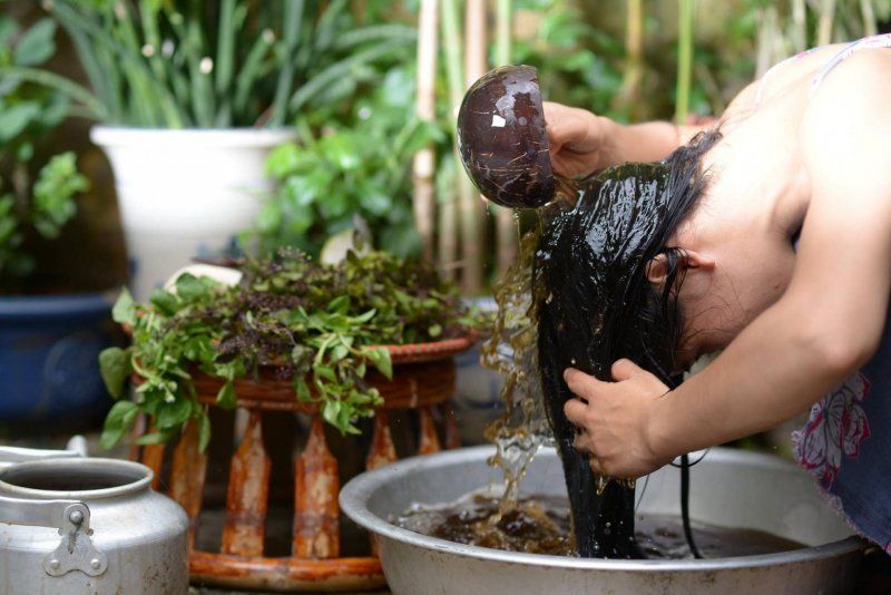 Tuyệt chiêu cỏ mần trầu trị rụng tóc tại nhà giúp tóc mọc nhanh